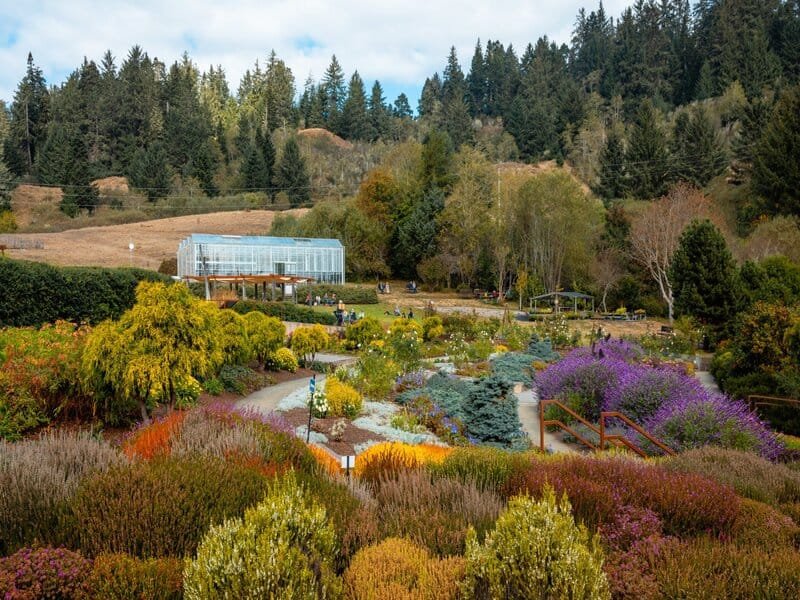 Humboldt Botanical Garden
