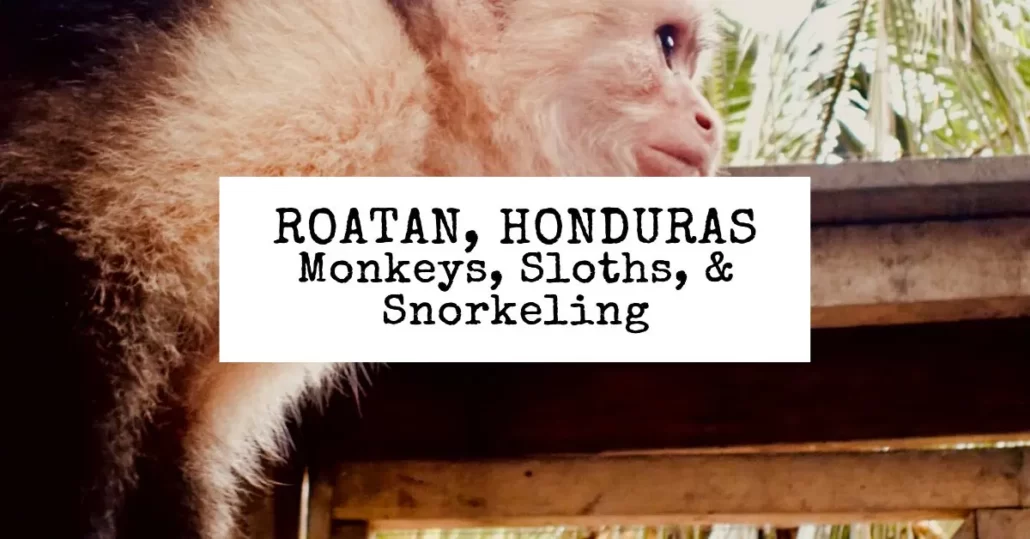 exploring roatan are there monkeys on the island